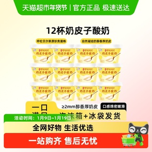 伊利宫酪呼伦贝尔奶皮子酸奶发酵醇香厚奶皮入口即化