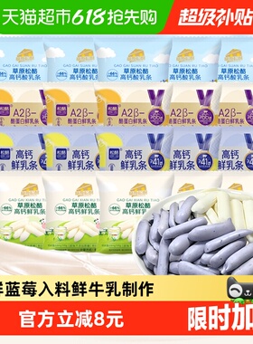 松酪内蒙古高钙鲜烤乳奶条多口味A2型酪蛋白蓝莓20小包儿童小零食
