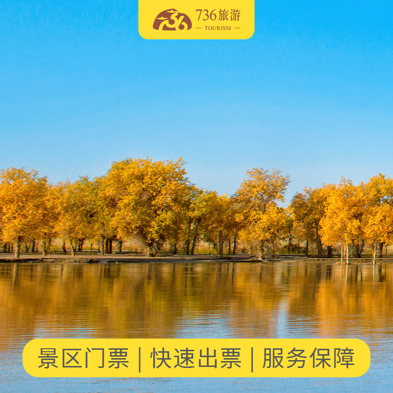 [金塔胡杨林-门票+观光车]金塔胡杨林门票+往返观光车票成人票 金塔胡杨林景区门票