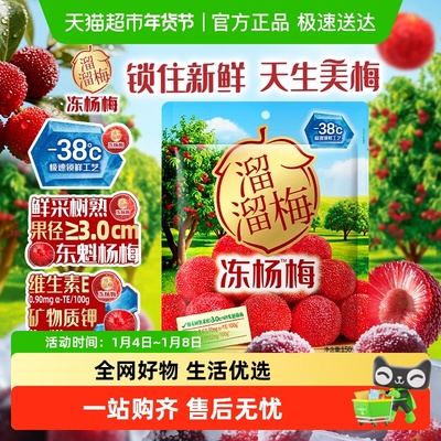 溜溜梅树熟东魁杨梅干