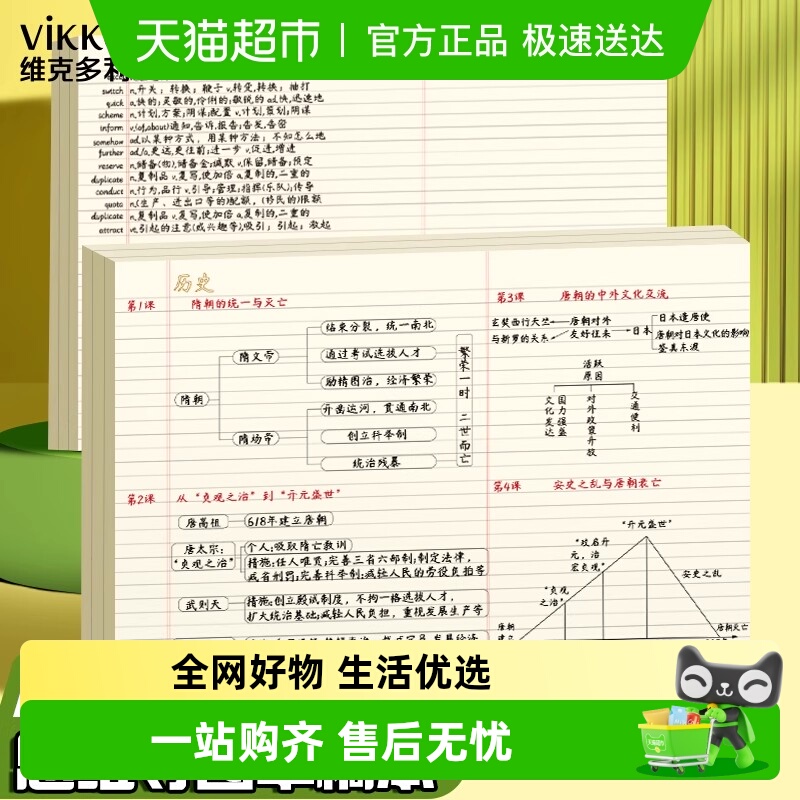VIKKO/维克多利A3思维导图草稿纸