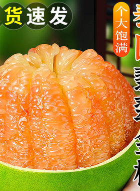 泰国翡翠红心柚子青皮爆汁清香泰柚蜜柚进口甜柚子贵族金柚包邮