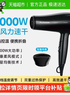 Flyco飞科2000W可折叠吹风机