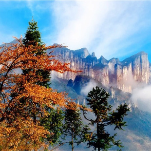 恩施重庆旅游五日游恩施大峡谷屏山腾龙洞重庆市内5天4晚跟团无购