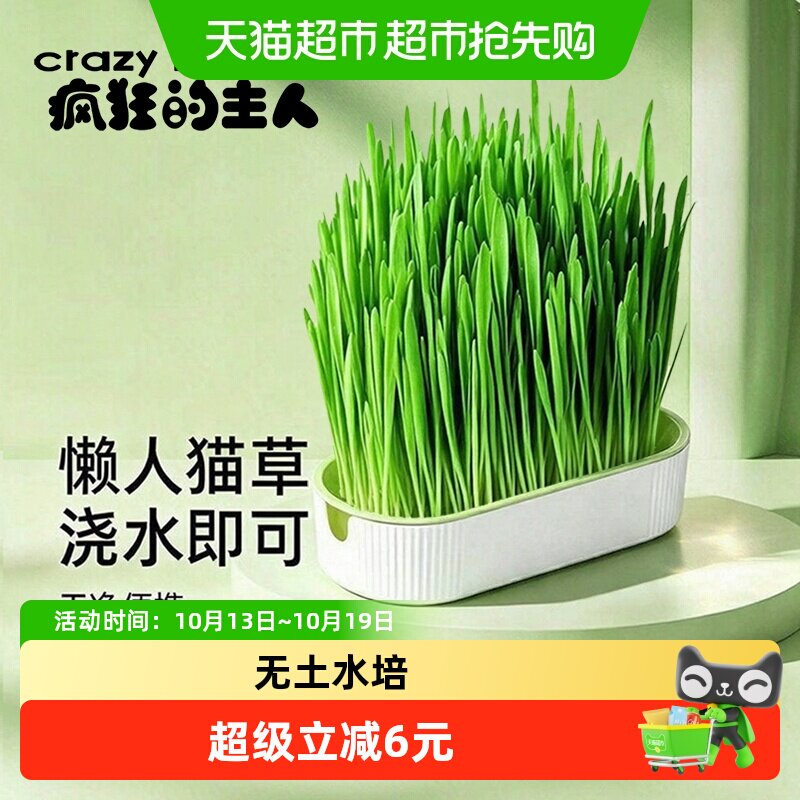 猫草盆栽种植无土水培盒懒人猫草种植子育苗盘猫咪促进助消化排毛