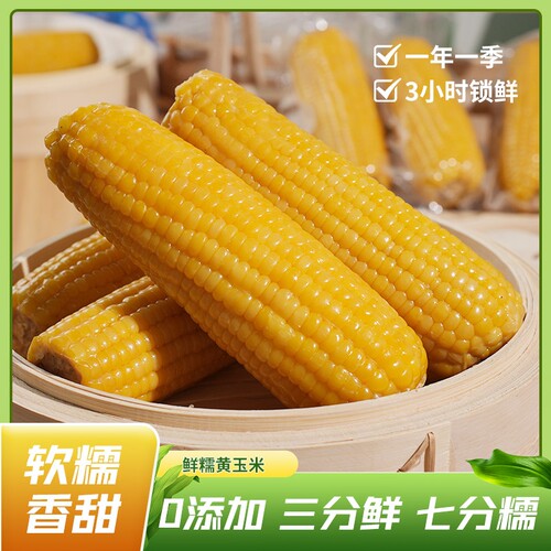 新鲜东北真空包装黏玉米棒黄糯甜粒粘真空装早餐健康充饥糯玉米