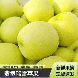 陕西白水瑞雪苹果脆甜多汁青苹果瑞雪