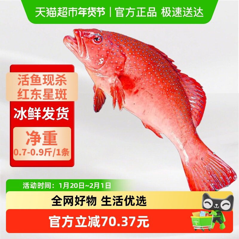 渔传播活鱼现杀 海南三去红东星斑冰鲜  去鳞腮内脏  海鱼,水产肉类/新鲜蔬果/熟食,鲳鱼,淘宝优惠券,粉丝福利购,淘宝优惠卷