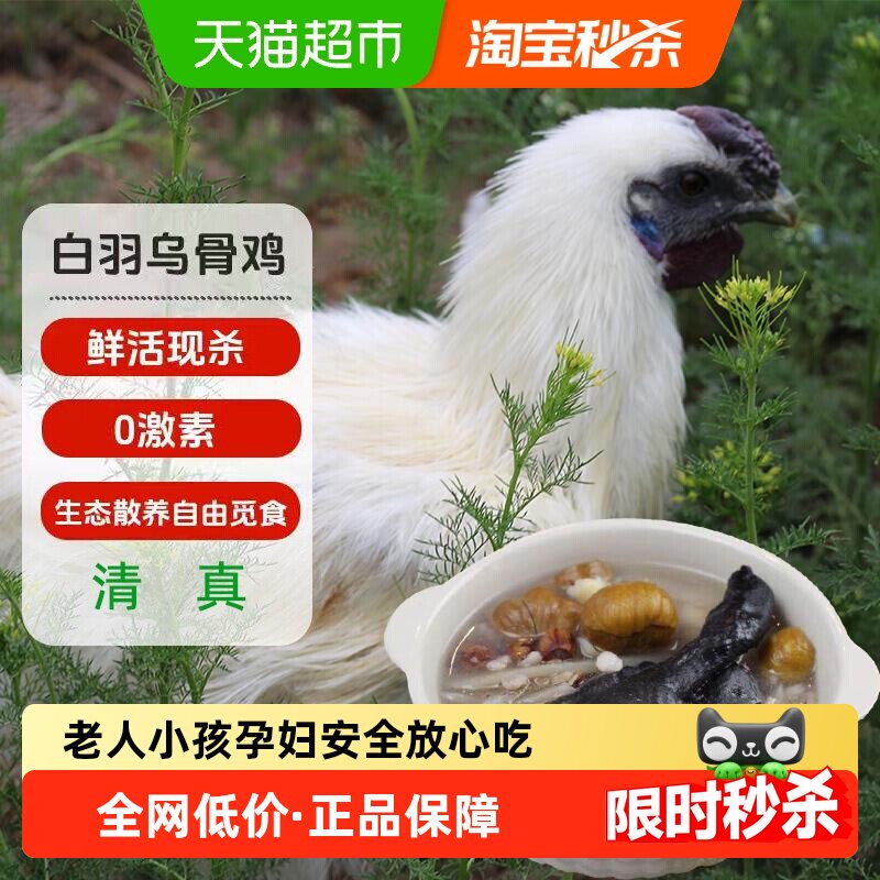 大用乌鸡新鲜现杀谷饲喂养农家散养土鸡正宗乌骨鸡1050g*2只