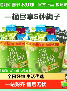 溜溜梅加量全家桶480g双桶青梅雪梅休闲零食蜜饯西梅送礼