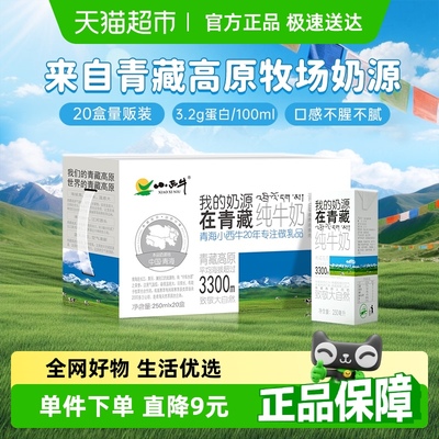 小西牛纯牛奶250ml×20盒