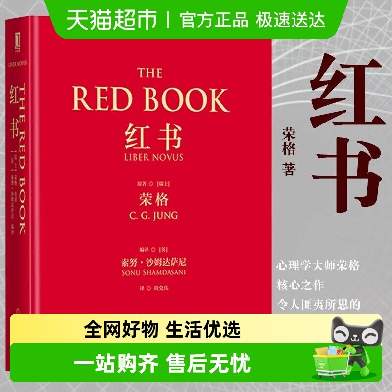 红书心理学大师荣格经典著作周党伟译理解心理学不得不读的一本书