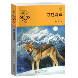 完整版刀疤豺母全本正版包邮沈石溪的图书籍动物小说大王品藏系列小学生四五六年级儿童文学作品珍藏大全全集1全套单本一新狼王梦
