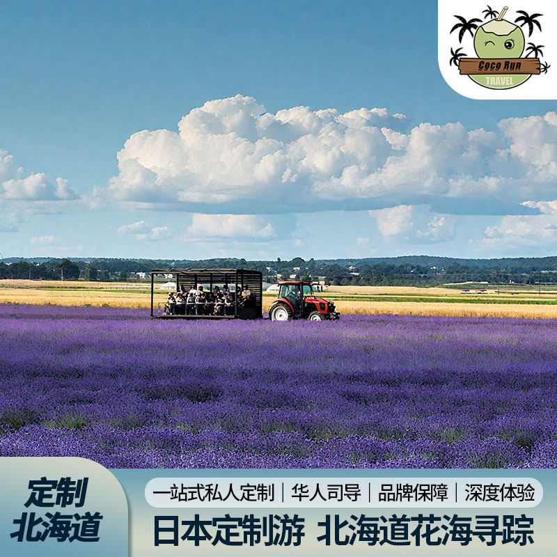 日本北海道3-10天定制·传统温泉旅馆/札幌/小樽/富良野纯玩定制