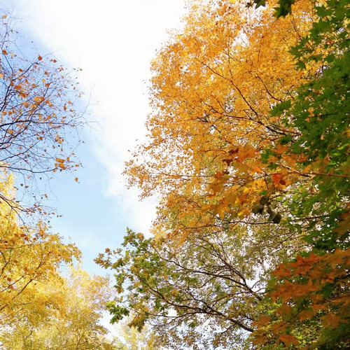 北京包车游野鸭湖古崖居金海湖云蒙山圣莲山郊游公司团建