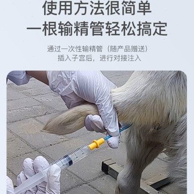 倍特双宫笑犬用人工输精保护剂净化修复子宫保护精子提高受孕率