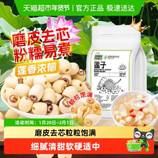 福建建宁莲子干货新鲜磨皮白莲子去芯搭配银耳百合桂圆红枣八宝粥