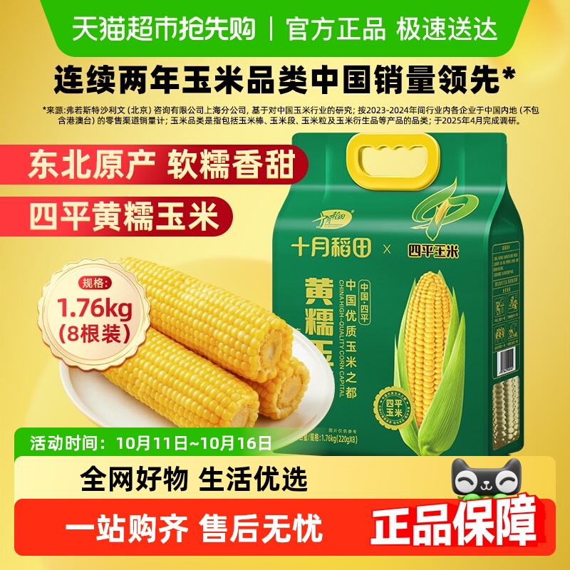 十月稻田东北黄糯玉米