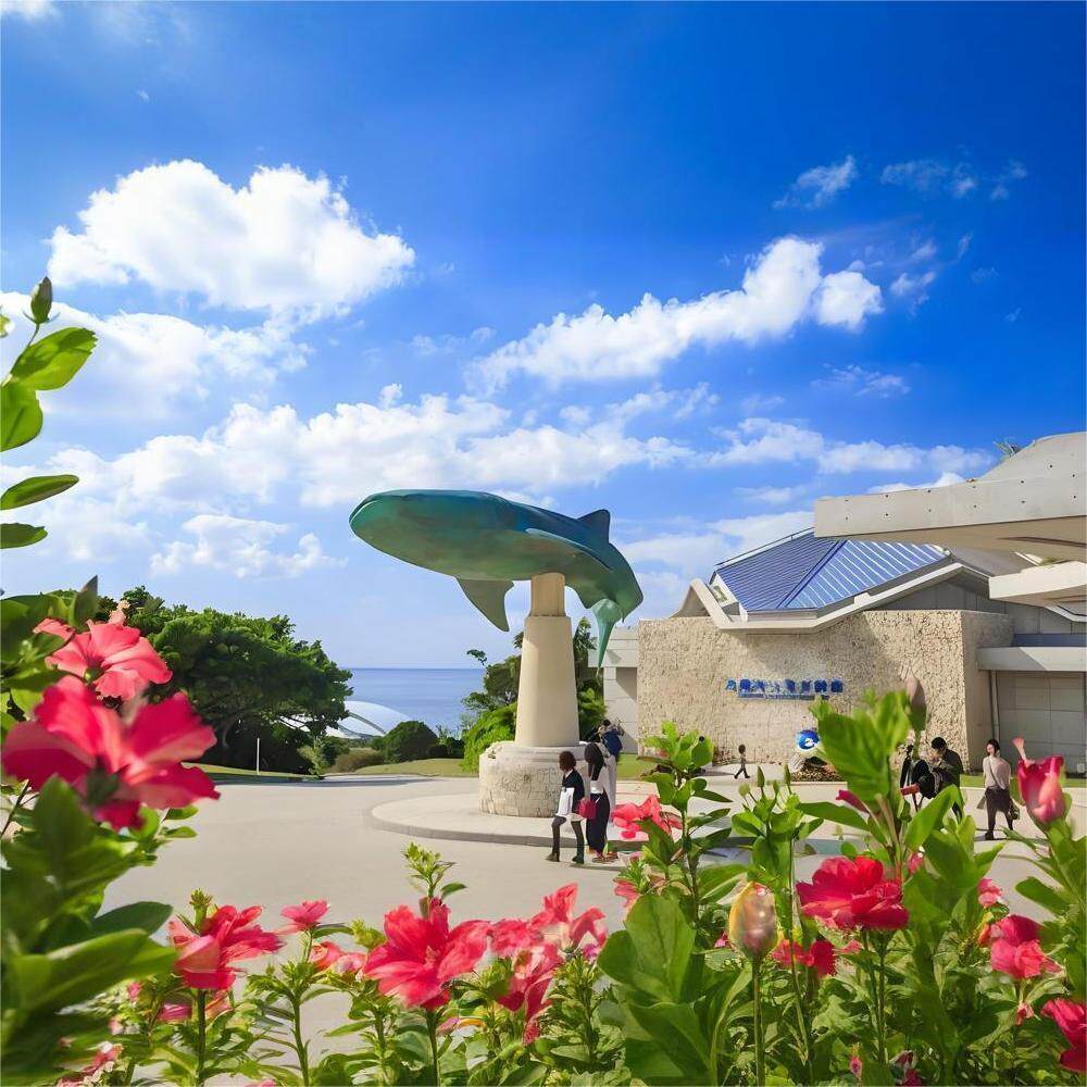 [冲绳美丽海水族馆-大门票]电子凭证验证入馆