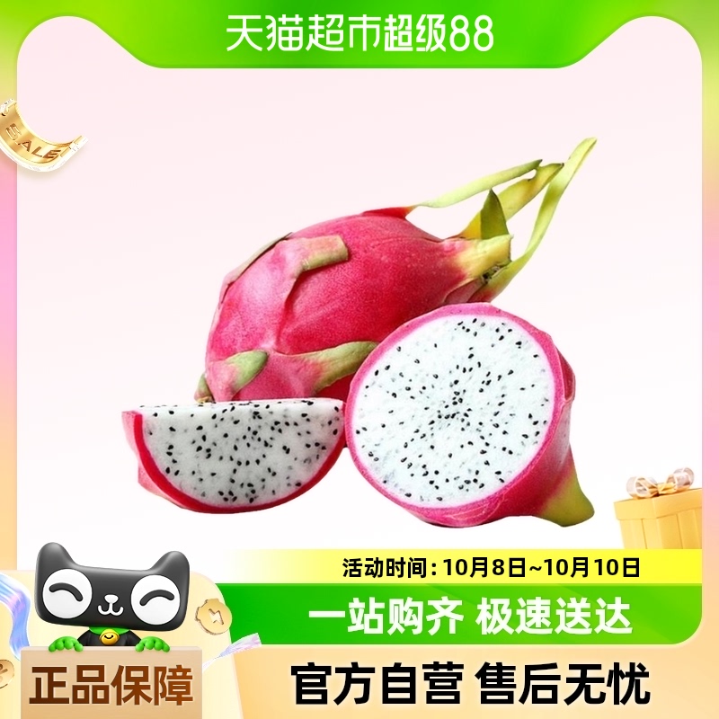 越南白心火龙果 2粒 950-1000g