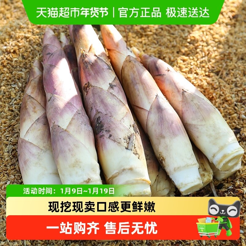 薯小萌临安春笋新鲜现挖竹笋野生农家蔬菜鲜笋顺丰发货