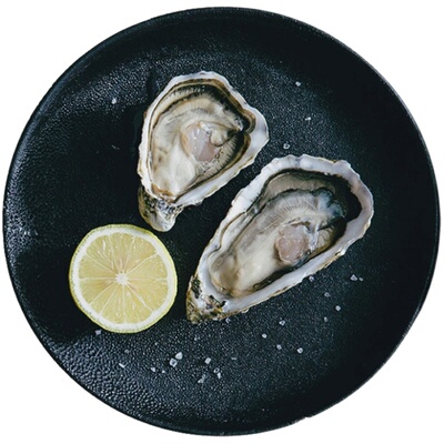 吉娜朵Gillardeau生蚝限时增重