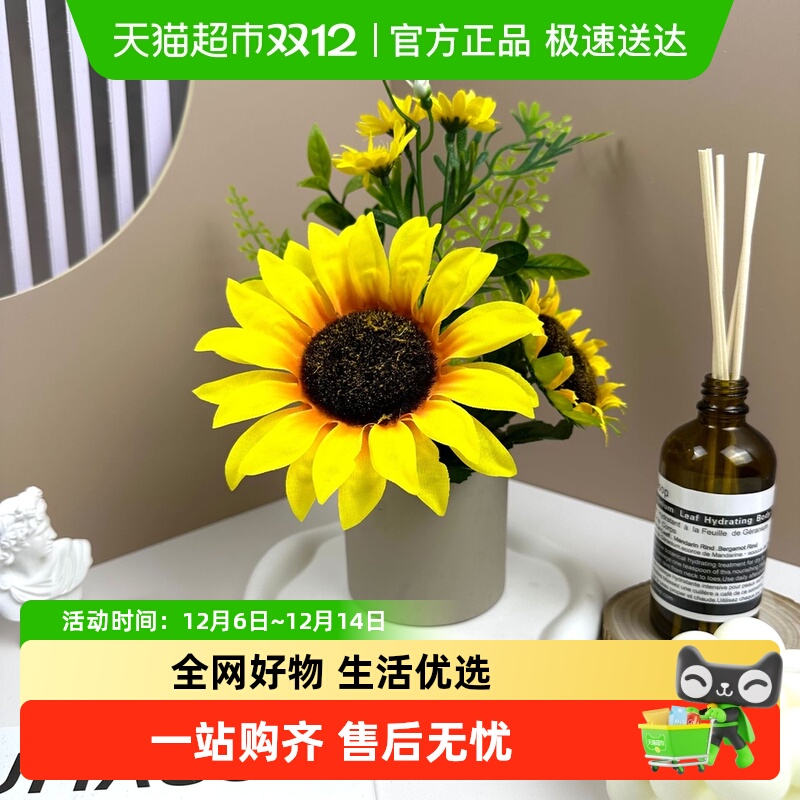 德沃多肥料仿真绿植物盆栽摆件装