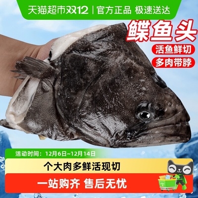 海仙部落鸦片鱼碟鱼头整条现切