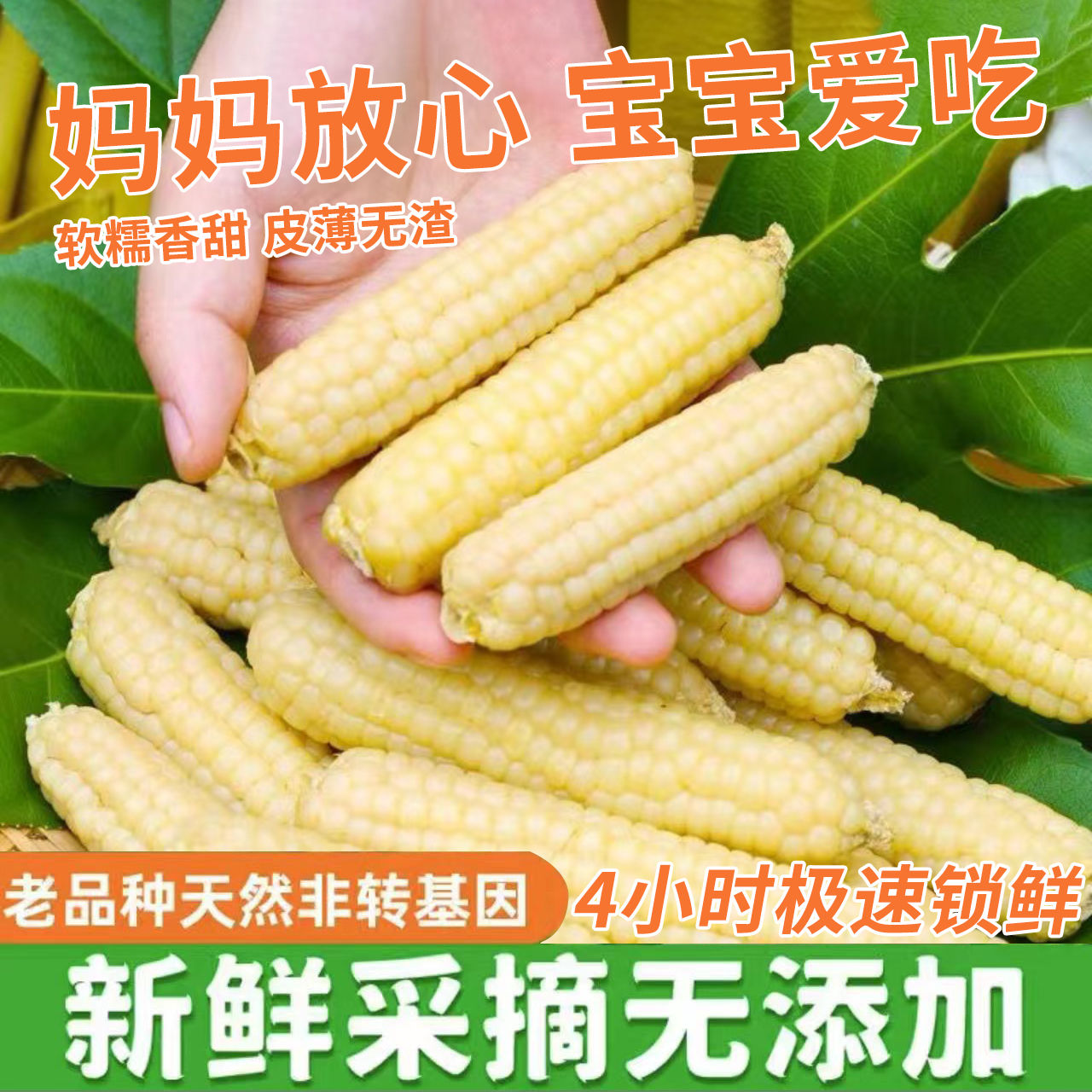拇指玉米云南西双版纳甜糯小玉米营养低脂健康早餐适合孕妇宝宝