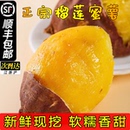 包邮 顺丰 丝滑榴莲蜜薯糖心爆浆红薯地瓜现挖粉糯香甜粗粮健康蔬菜