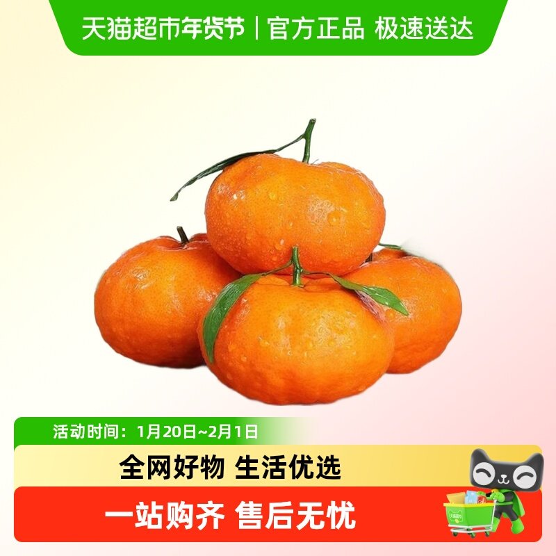 甘平柑橘应季甜桔子应季新鲜水果柑桔整箱,水产肉类/新鲜蔬果/熟食,桔子,淘宝优惠券,粉丝福利购,淘宝优惠卷