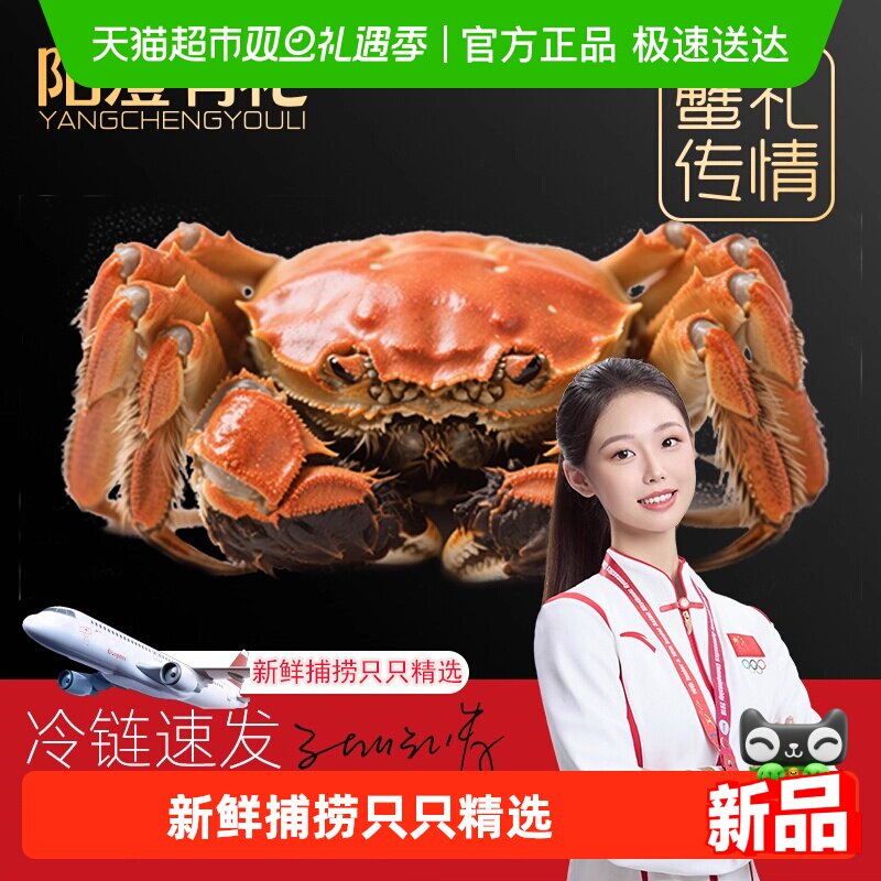 阳澄有礼大闸蟹活蟹去绳足两