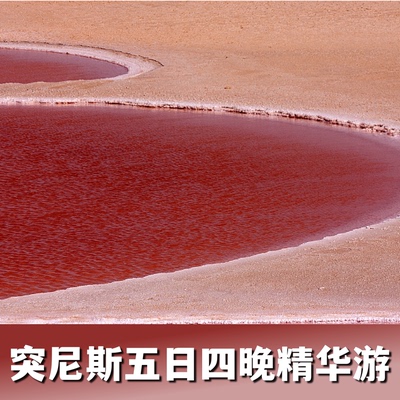 突尼斯五日精华游（沙漠绿洲地中海，罗马文明迦太基）