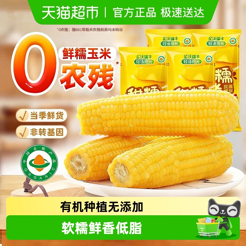 轻语拾光25年新鲜有机黄糯玉米非东北粘苞米低脂主食早餐代餐真空