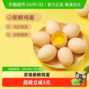 口袋饱饱新鲜鸡蛋柴鸡蛋笨鸡蛋谷物草鸡蛋10枚