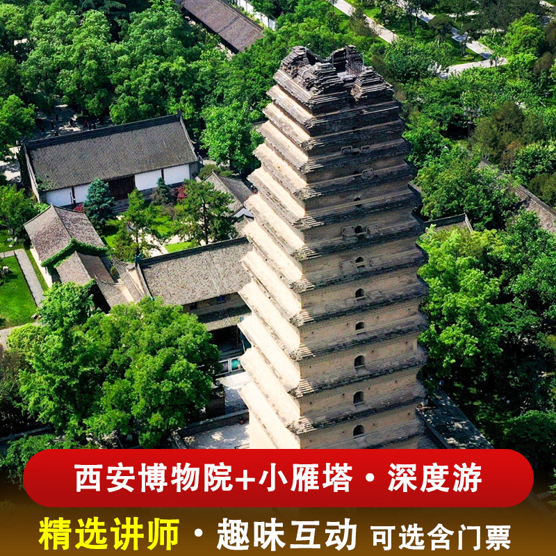 【西安博物院+小雁塔】专业讲师大咖深度讲解 可选含代预约门票 - 实物图