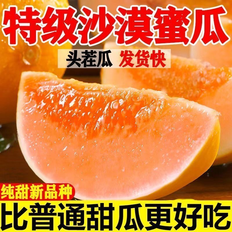 甘肃头茬民勤沙漠蜜瓜金红宝产地现摘直发