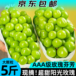 整箱順豐 陽光玫瑰葡萄新鮮水果5斤大果晴王葡萄青提當(dāng)季