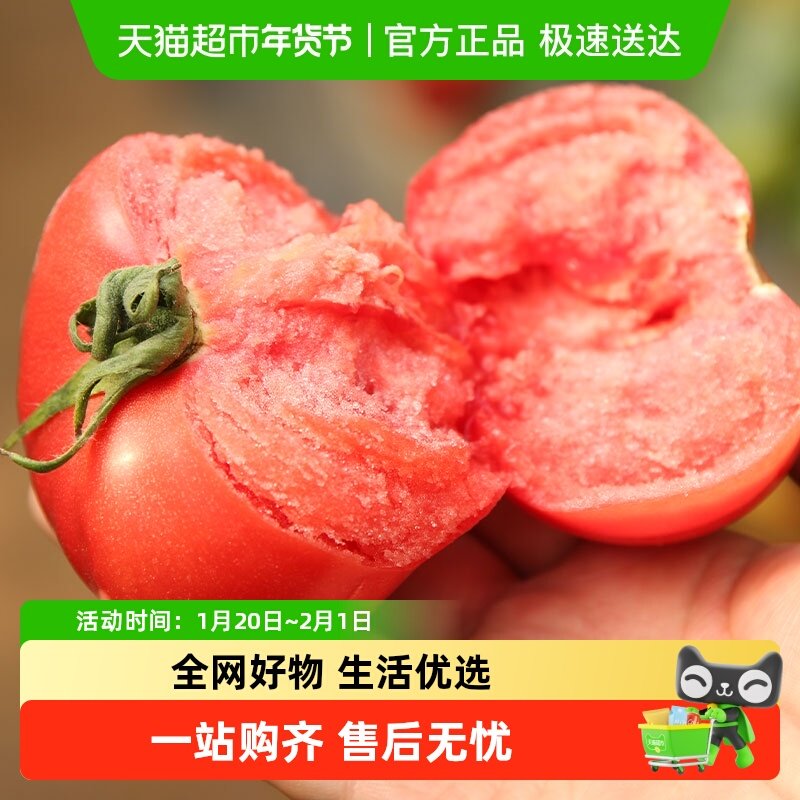 寿禾番茄苗蔬菜丝瓜菜苗秧秧苗黄瓜辣椒茄子西瓜秋葵,鲜花速递/花卉仿真/绿植园艺,家庭园艺种子,淘宝优惠券,粉丝福利购,淘宝优惠卷