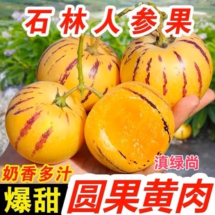 優質云南石林人參果大果新鮮人叁果水果黃肉圓果人生果娃娃果新鮮