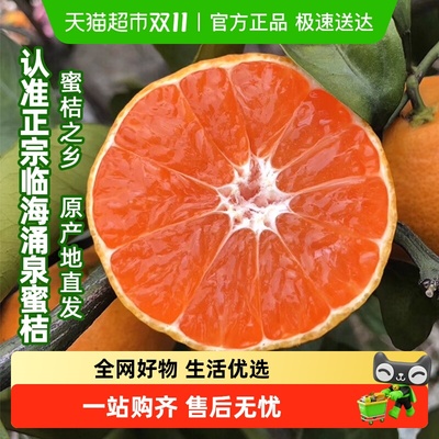 仙庆临海涌泉蜜桔无核无渣桔子