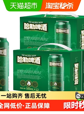 哈勒精酿黄啤酒500ml*12罐*2箱原浆精酿小麦啤酒10°醇正清爽整箱