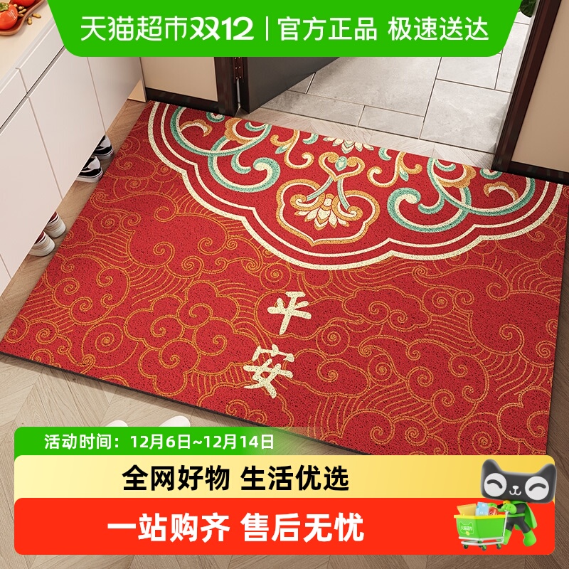 丝圈进门防滑地垫进门口除尘脚垫