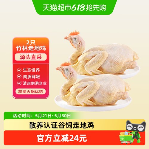 天农清远土鸡800g2只