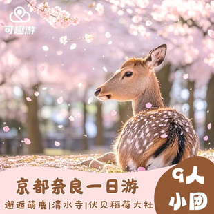 【天天发团】9人小团日本大阪京都奈良三千院小火车岚山一日游