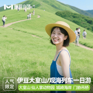 9人小团东京伊豆一日游大室山观海列车城琦海岸花火大会日本包车