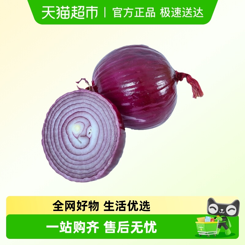 红洋带皮红洋葱250g/个带