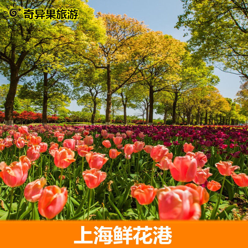 [上海四季花港-大门票][上海鲜花港-门票]上海鲜花港门票