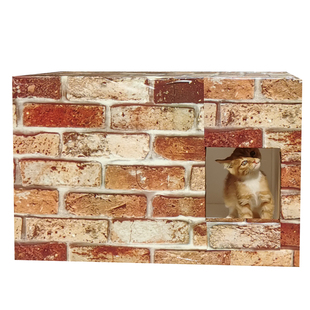 流浪猫窝保温箱泡沫箱冬季室外狗窝防雨防雪保暖 野猫 救助小动物