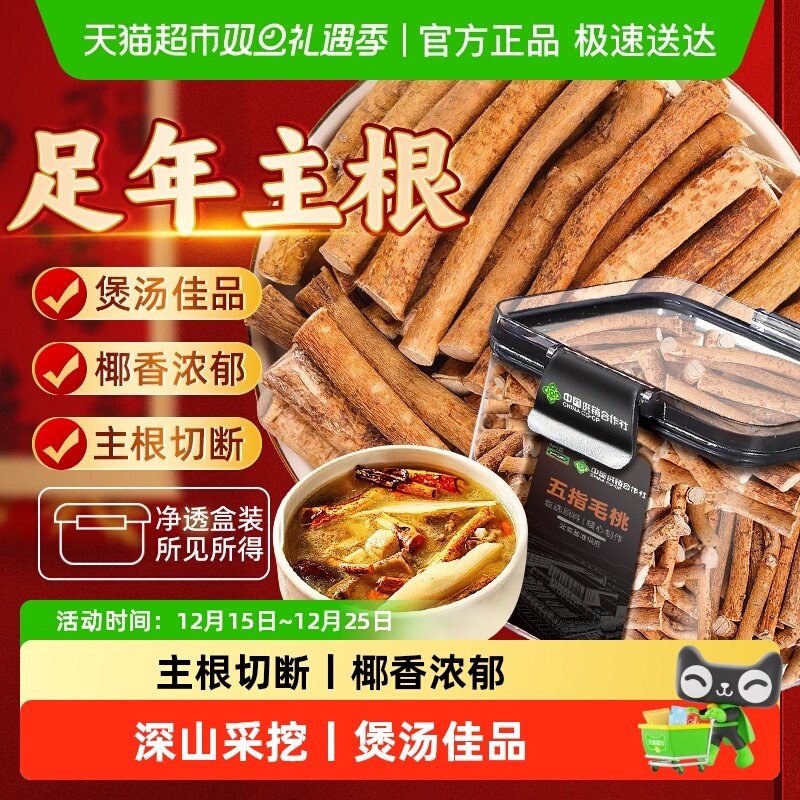 正宗五指毛桃深山五指毛桃搭茯苓当归灵芝煲汤四季温和滋养养生茶